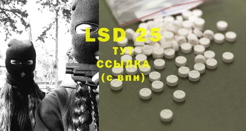 дарнет шоп  Кириллов  ссылка на мегу зеркало  LSD-25 экстази ecstasy 