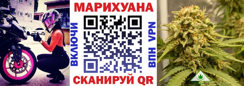 Каннабис OG Kush Кириллов